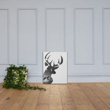 Load image into Gallery viewer, Deer Under The Stars (Black And White) - Canvas
