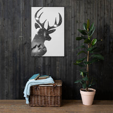 Load image into Gallery viewer, Deer Under The Stars (Black And White) - Canvas
