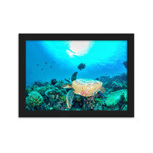 Load image into Gallery viewer, Turtle Art - Framed Poster
