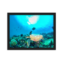 Load image into Gallery viewer, Turtle Art - Framed Poster
