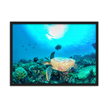 Load image into Gallery viewer, Turtle Art - Framed Poster
