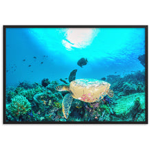 Load image into Gallery viewer, Turtle Art - Framed Poster
