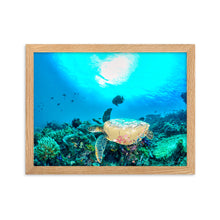 Load image into Gallery viewer, Turtle Art - Framed Poster
