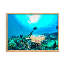 Load image into Gallery viewer, Turtle Art - Framed Poster
