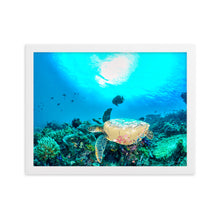 Load image into Gallery viewer, Turtle Art - Framed Poster
