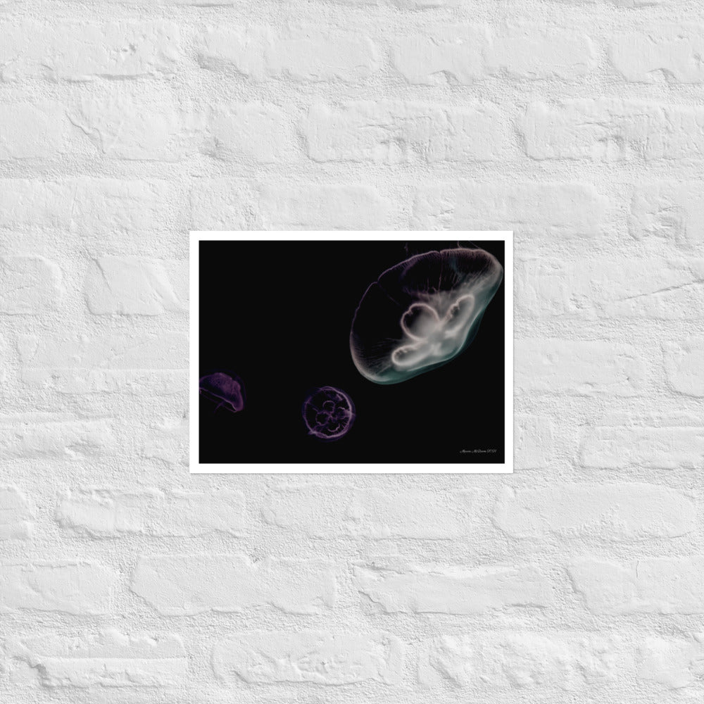 Pink, Black and Purple Jellyfish - Frameless Poster