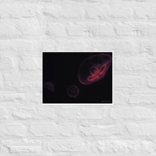 Load image into Gallery viewer, Pink and Black Jellyfish - Frameless Poster
