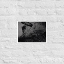 Load image into Gallery viewer, Black and White Jellyfish - Frameless Poster
