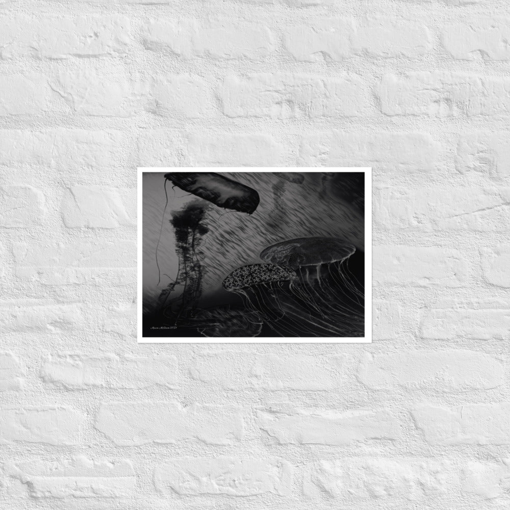 Black and White Jellyfish - Frameless Poster