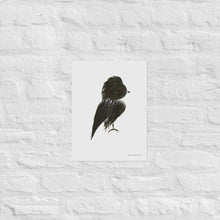 Load image into Gallery viewer, Gold Feathers - Frameless Poster
