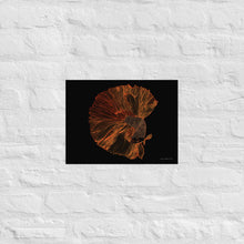 Load image into Gallery viewer, Colourful Betta Part 1 - Frameless Poster
