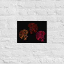 Load image into Gallery viewer, Colourful Betta Part 4 (Three Sisters) - Frameless Poster
