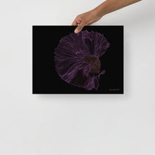 Load image into Gallery viewer, Colourful Betta Part 5 - Frameless Poster
