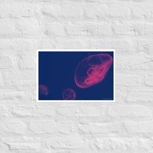 Load image into Gallery viewer, Pink and Blue Jellyfish - Frameless Poster
