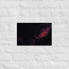 Load image into Gallery viewer, Pink and Black Jellyfish - Frameless Poster
