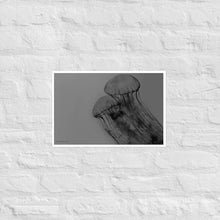 Load image into Gallery viewer, Black and White Jellyfish - Frameless Poster
