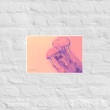 Load image into Gallery viewer, Pink Jellyfish - Frameless Poster
