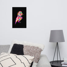 Load image into Gallery viewer, Colourful Feathers - Frameless Poster (Black Background)
