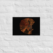 Load image into Gallery viewer, Colourful Betta Part 1 - Frameless Poster
