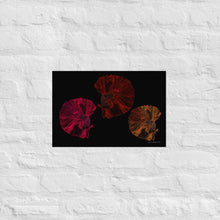 Load image into Gallery viewer, Colourful Betta Part 4 (Three Sisters) - Frameless Poster
