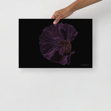 Load image into Gallery viewer, Colourful Betta Part 5 - Frameless Poster
