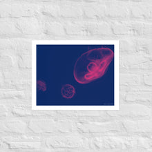 Load image into Gallery viewer, Pink and Blue Jellyfish - Frameless Poster
