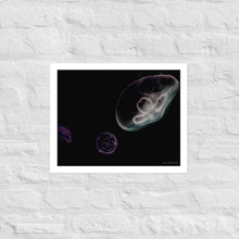 Load image into Gallery viewer, Pink, Black and Purple Jellyfish - Frameless Poster
