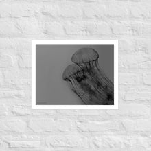 Load image into Gallery viewer, Black and White Jellyfish - Frameless Poster
