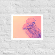 Load image into Gallery viewer, Pink Jellyfish - Frameless Poster
