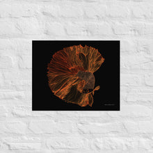 Load image into Gallery viewer, Colourful Betta Part 1 - Frameless Poster
