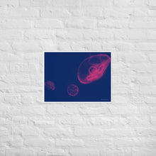 Load image into Gallery viewer, Pink and Blue Jellyfish - Frameless Poster
