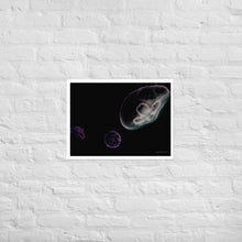 Load image into Gallery viewer, Pink, Black and Purple Jellyfish - Frameless Poster
