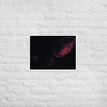 Load image into Gallery viewer, Pink and Black Jellyfish - Frameless Poster
