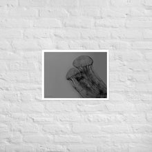 Load image into Gallery viewer, Black and White Jellyfish - Frameless Poster
