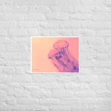 Load image into Gallery viewer, Pink Jellyfish - Frameless Poster
