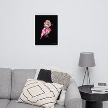 Load image into Gallery viewer, Colourful Feathers - Frameless Poster (Black Background)
