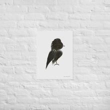 Load image into Gallery viewer, Gold Feathers - Frameless Poster
