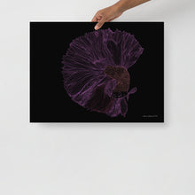 Load image into Gallery viewer, Colourful Betta Part 5 - Frameless Poster
