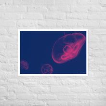 Load image into Gallery viewer, Pink and Blue Jellyfish - Frameless Poster
