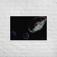 Load image into Gallery viewer, Pink, Black and Purple Jellyfish - Frameless Poster
