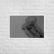 Load image into Gallery viewer, Black and White Jellyfish - Frameless Poster
