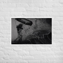 Load image into Gallery viewer, Black and White Jellyfish - Frameless Poster
