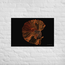 Load image into Gallery viewer, Colourful Betta Part 1 - Frameless Poster
