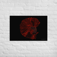 Load image into Gallery viewer, Colourful Betta Part 3 - Frameless Poster
