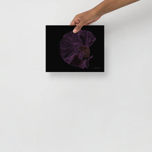 Load image into Gallery viewer, Colourful Betta Part 5 - Frameless Poster
